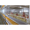 Broiler cage system for poultry farm equipment